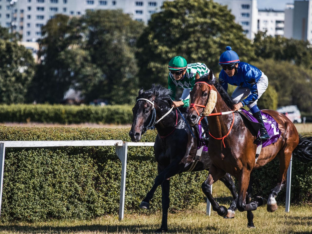 Two jockeys race fiercely in a horse racing event on a sunny day.