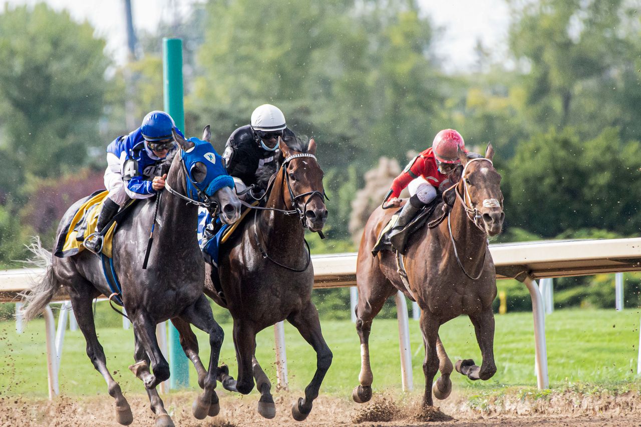 Dynamic capture of a thrilling horse race showcasing three jockeys and racehorses in intense competition.