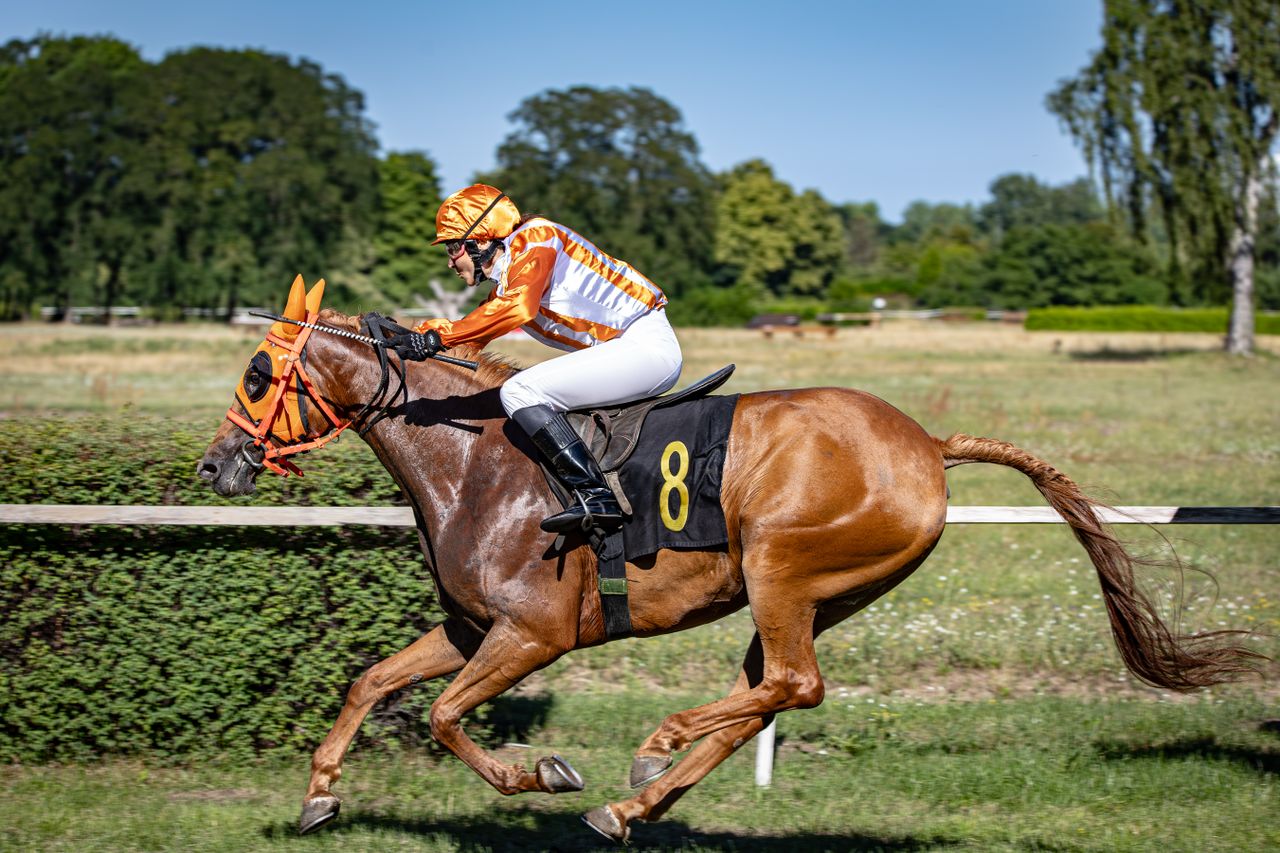 Dynamic horse racing scene depicting a jockey in motion during a race on a sunny day.