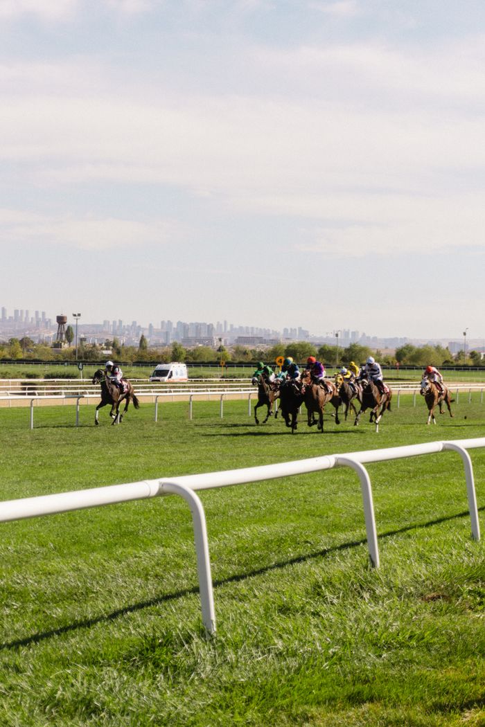 Exciting horse race on a sunny day with city skyline in the background.