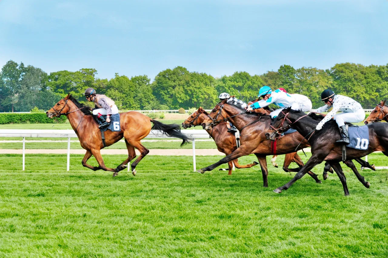A thrilling horse race unfolds on a sunny day with a crowd of spectators watching closely.